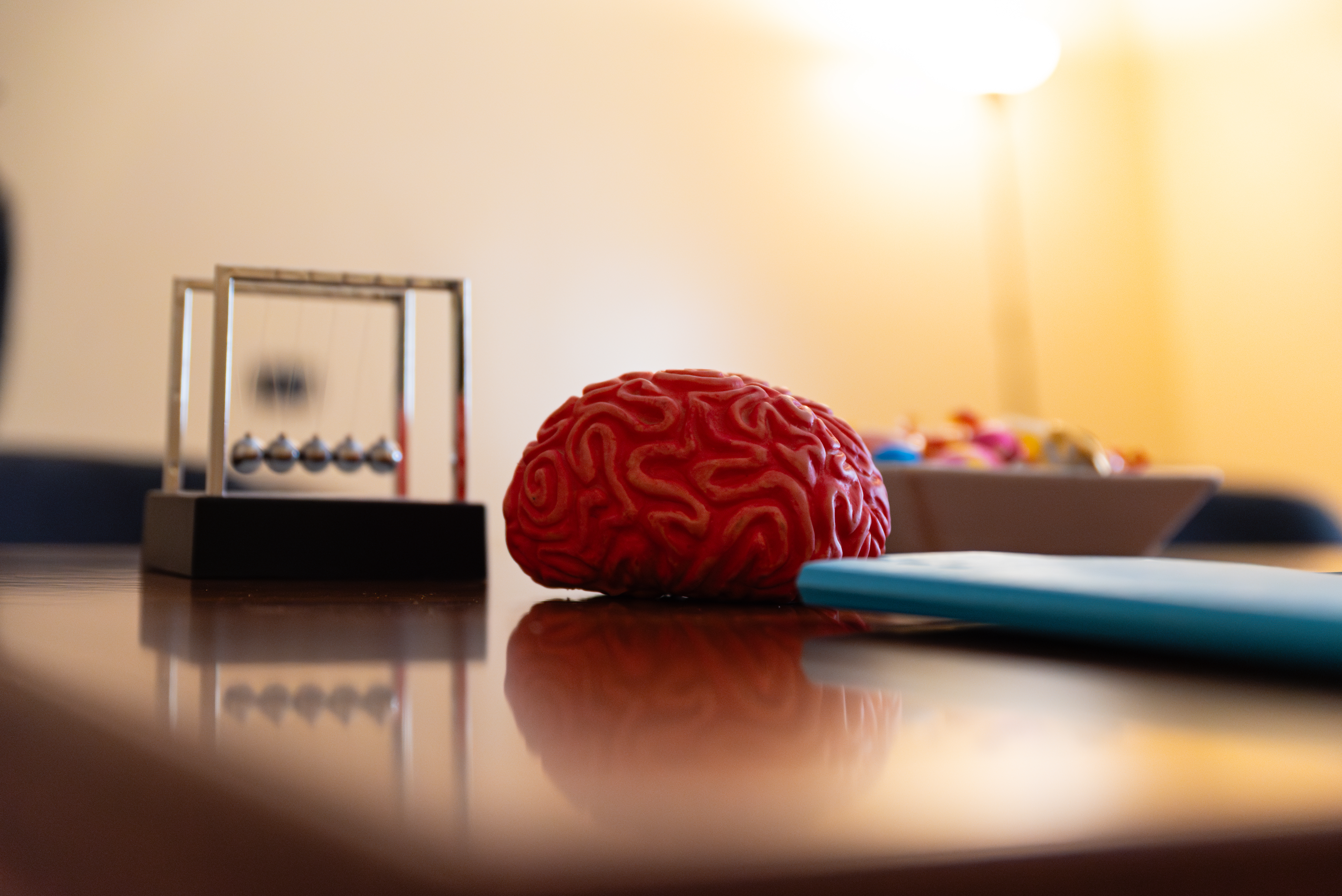 Dettaglio del mio studio ad Aversa con un pendolo di Newton e un modello di cervello, simboli dell'equilibrio mentale che cerchiamo in terapia.